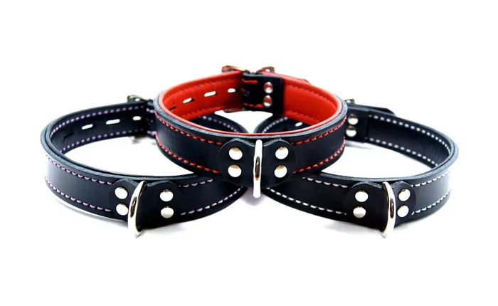 Male Sex Toys 6Whips 6Whips Lined Dee Ring Collar