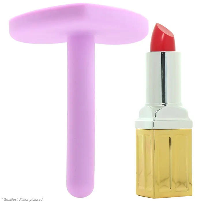 Blush Wellness 4 Piece Silicone Dilator Kit in Purple Vibrators Blush Wellness 4 Piece Silicone Dilator Kit in Purple Vibrators