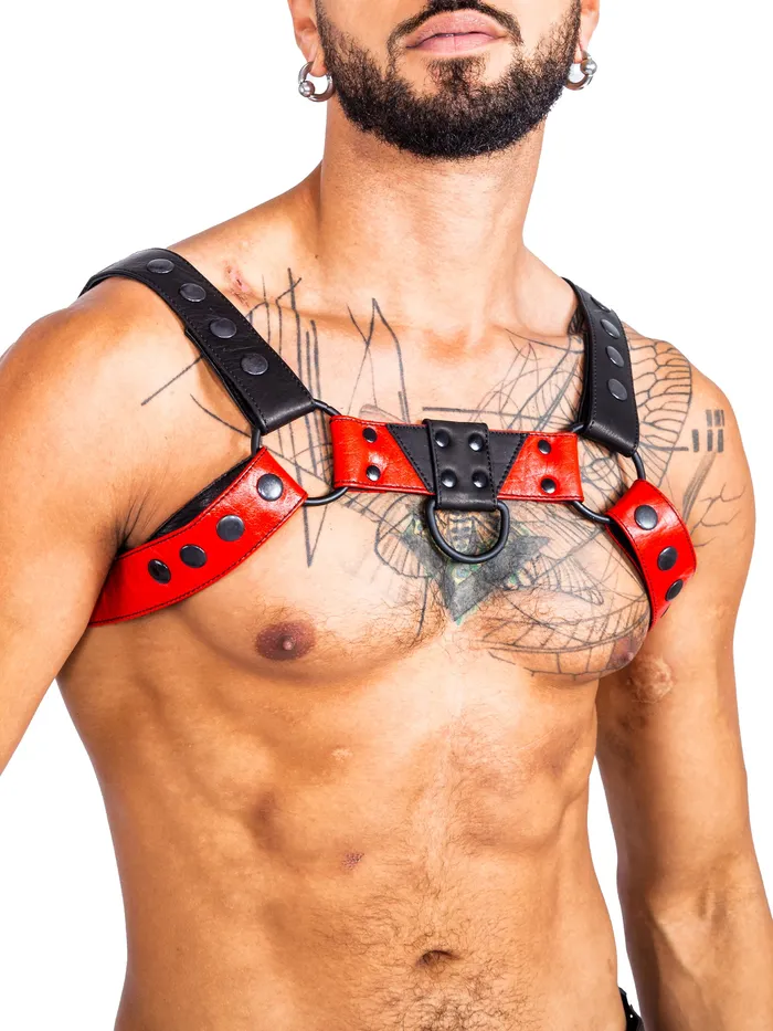 HonourSkintwocom Mens Underwear Bulldog Bondage Harness Black One Size HonourSkintwocom Mens Underwear Bulldog Bondage Harness Black One Size