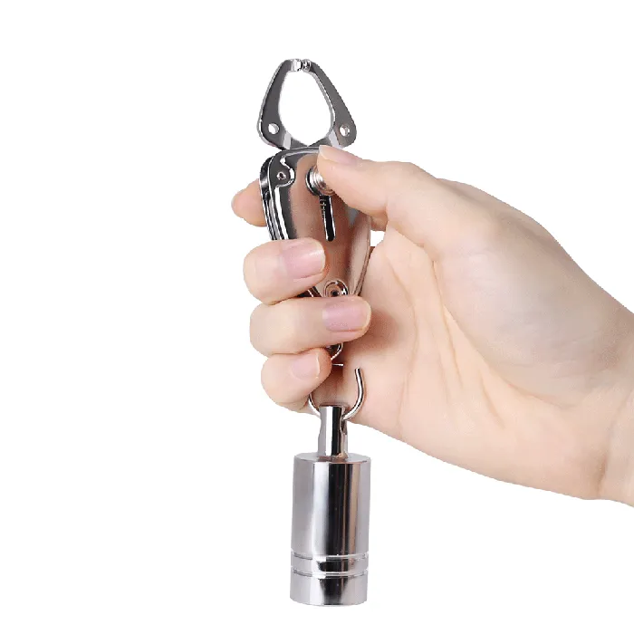 Oxyshop Female Sex Toys Nipple clamps with weights