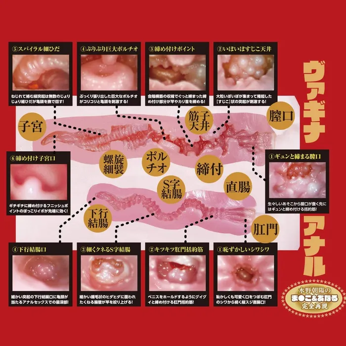 NPG 2 Hole Third Generation Meiki Mizuno Waist Onahole Masturbator 6kg Beige NPG Male Sex Toys NPG 2 Hole Third Generation Meiki Mizuno Waist Onahole Masturbator 6kg Beige NPG Male Sex Toys