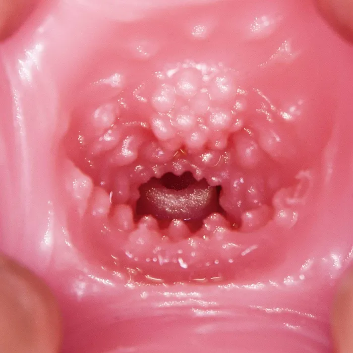 NPG 2 Hole Third Generation Meiki Mizuno Waist Onahole Masturbator 6kg Beige NPG Male Sex Toys NPG 2 Hole Third Generation Meiki Mizuno Waist Onahole Masturbator 6kg Beige NPG Male Sex Toys