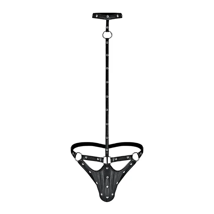 Anal Male Power Male Power Fetish Tormentor Choker GString Body Harness Black SM