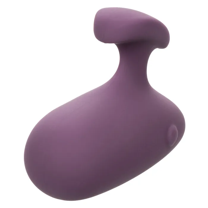 2024 Holiday Sale Mod Touch Purple Vibrators