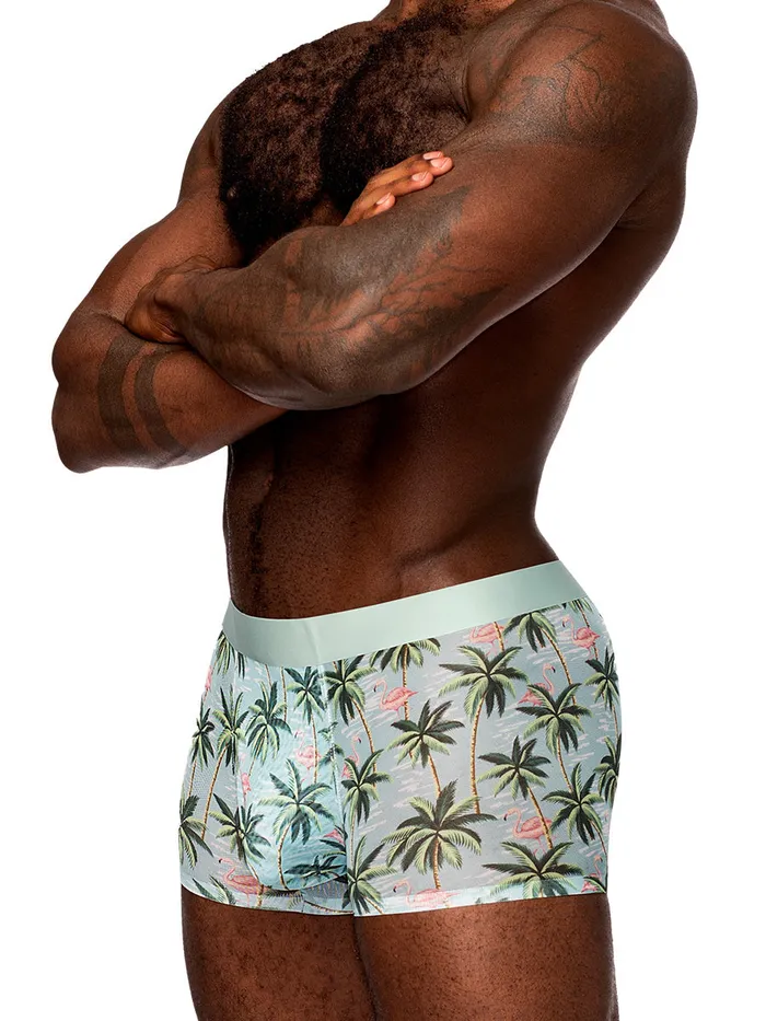 Hosiery Sheer Prints Seamless Sheer Short Small Flamingo Male Power