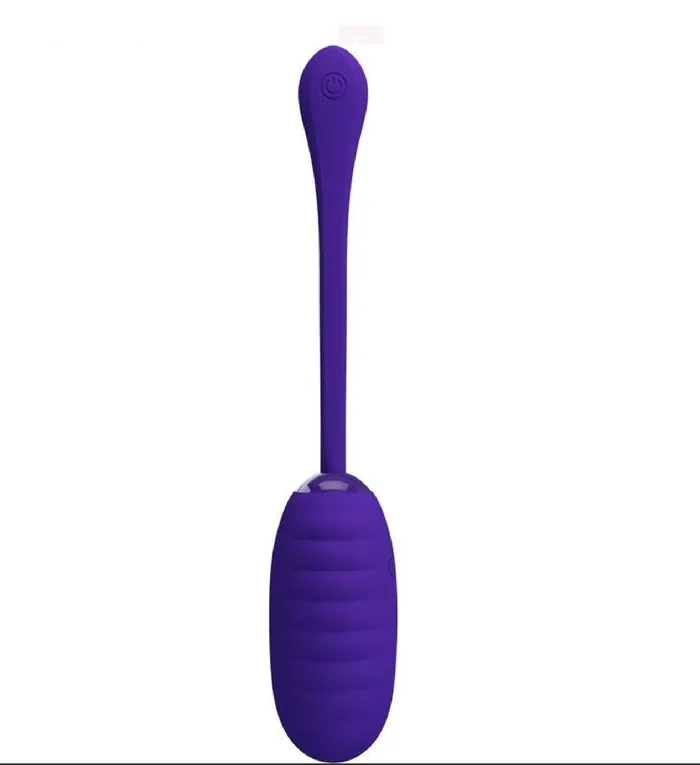 Kirk Rechargeable Vibrating Egg Purple Pretty Love Vibrators