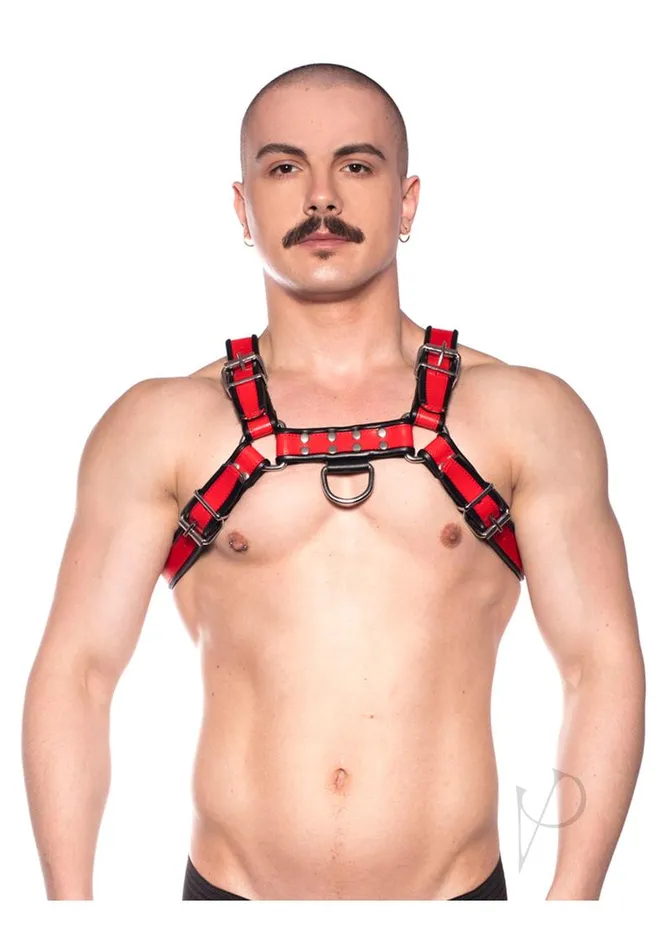 Anal Prowler Red Prowler RED Bull Harness Large BlackRed