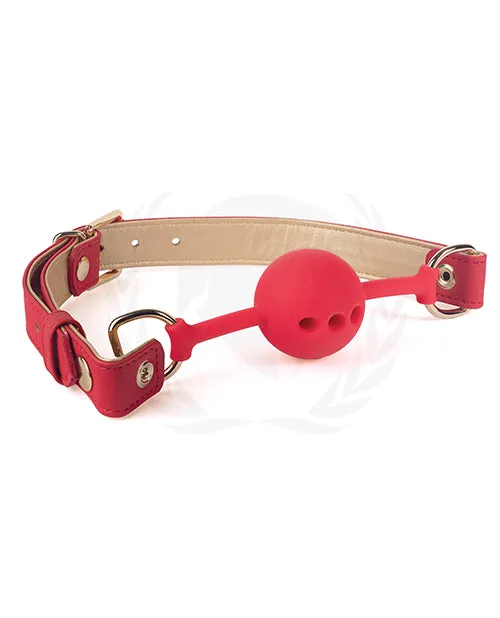 Anal Spartacus Silicone Ball Gag wRed Gold PU Straps 46 mm Spartacus