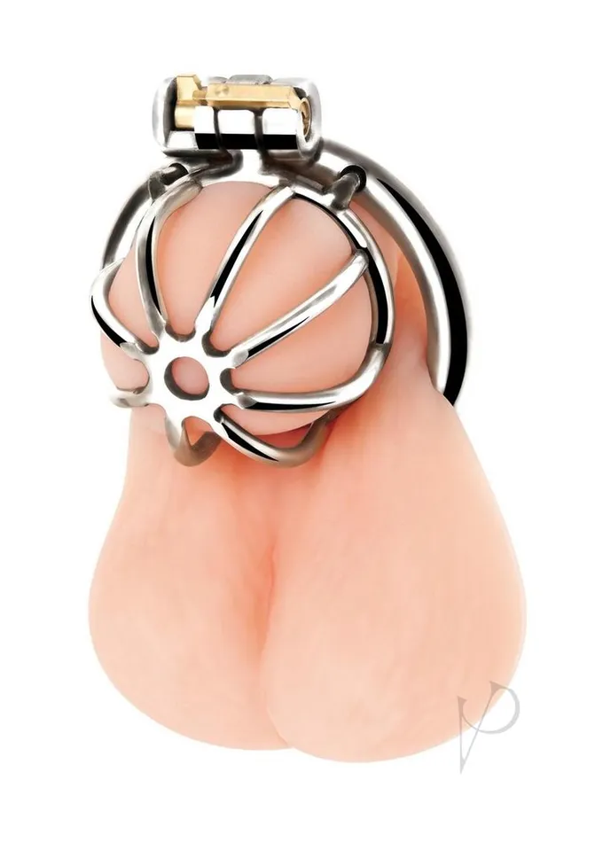Blue Line Cand B Gear Male Sex Toys Blue Line Little Cock Chastity Cage Stainless Steel Blue Line Cand B Gear Male Sex Toys Blue Line Little Cock Chastity Cage Stainless Steel