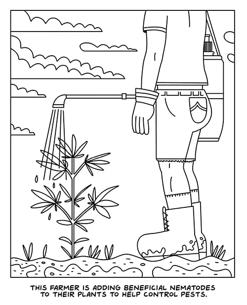 Dildos Wood Rocket A Visit to the Cannabis Farm Coloring Book Wood Rocket Dildos Wood Rocket A Visit to the Cannabis Farm Coloring Book Wood Rocket