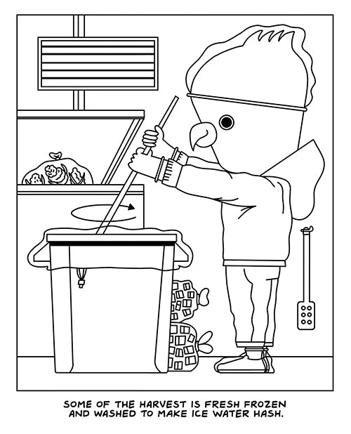 Dildos Wood Rocket A Visit to the Cannabis Farm Coloring Book Wood Rocket Dildos Wood Rocket A Visit to the Cannabis Farm Coloring Book Wood Rocket