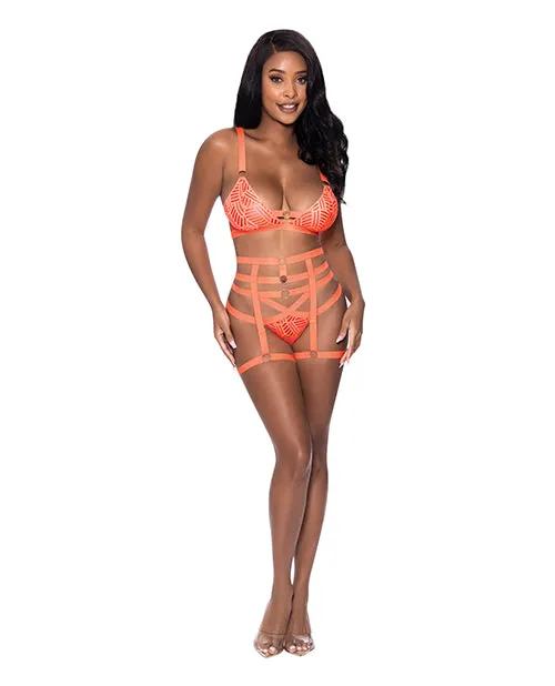 Female Sex Toys Exposed Rude Awakening Bralette Thigh High Garter Cheeky Panty Orange LXL Female Sex Toys Exposed Rude Awakening Bralette Thigh High Garter Cheeky Panty Orange LXL