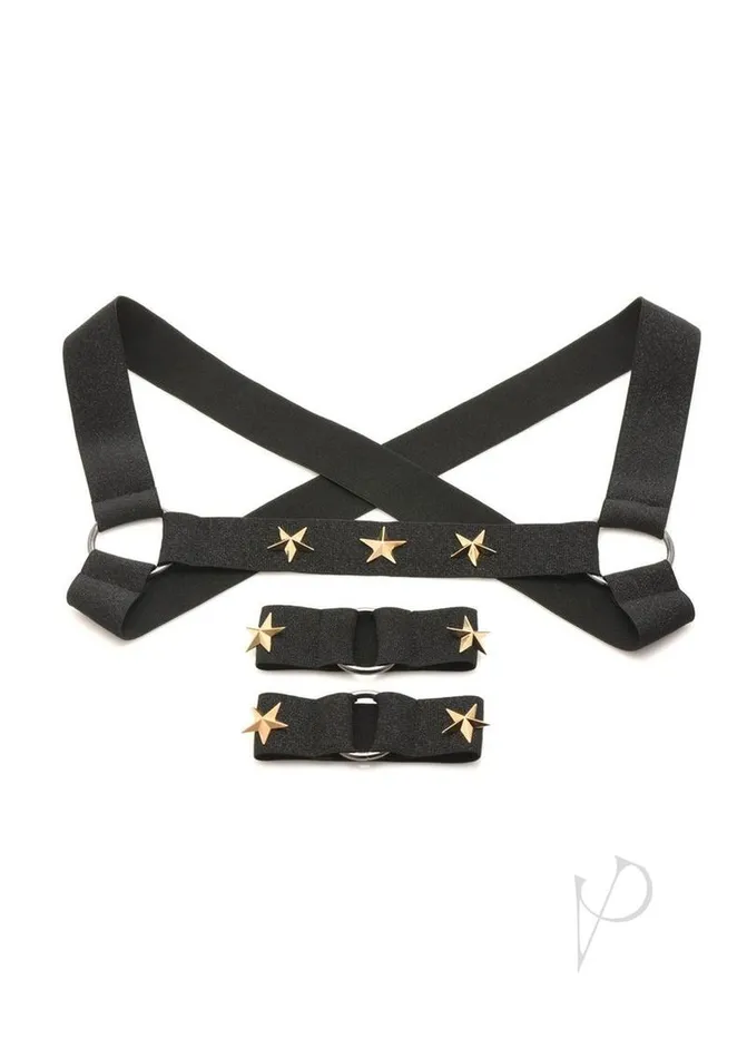 Female Sex Toys Master Series Master Series Rave Harness Elastic Chest Harness with Arm Bands LargeXlarge BlackGold