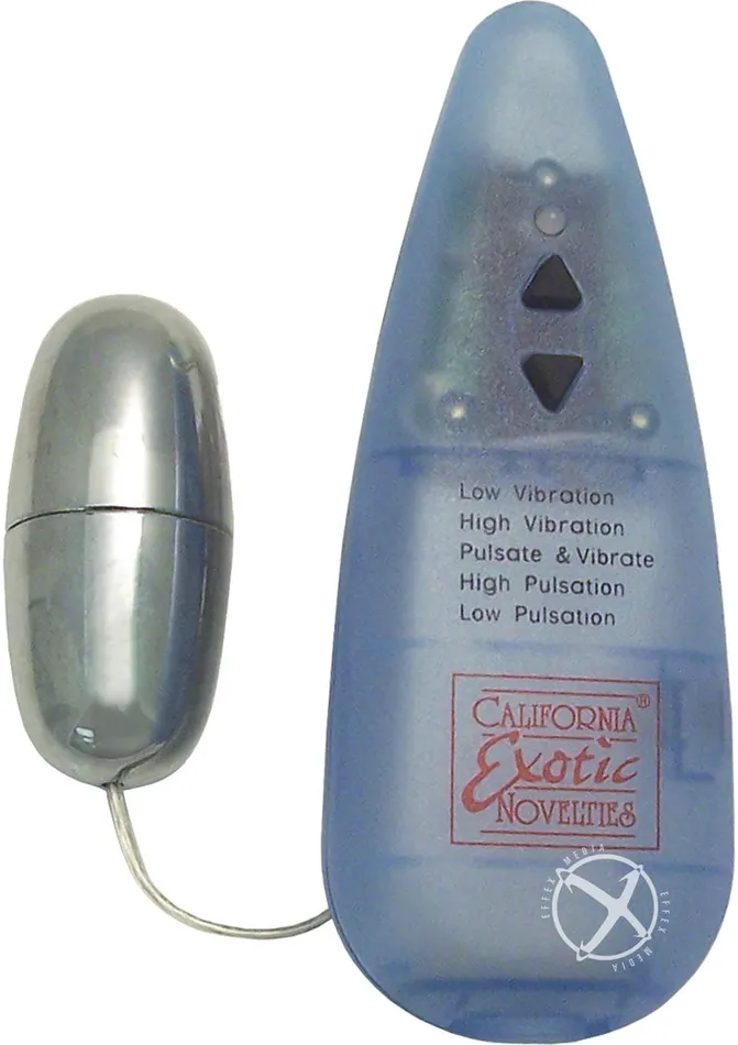 Female Sex Toys Pocket Exotics Pocket Exotics Impulse Silver Bullet with Wired Remote Control Silver