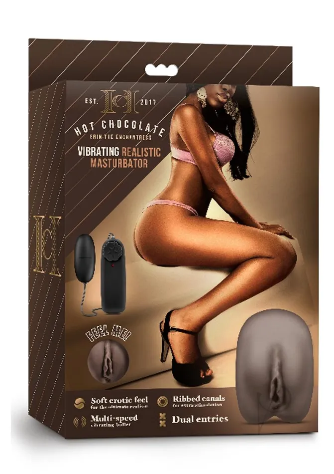 Male Sex Toys Hot Chocolate Hot Chocolate Erin The Enchantress Vibrating Masturbator with Wired Remote Control Pussy and Ass Chocolate