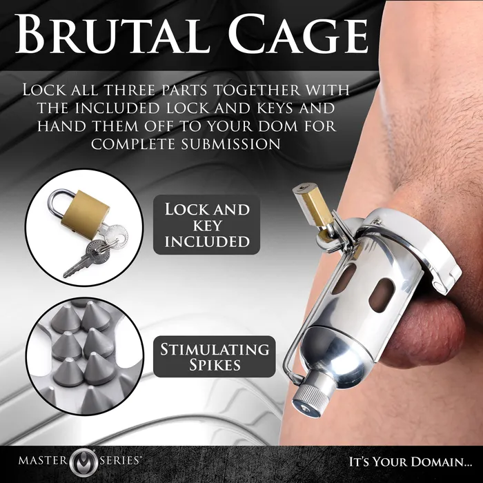 Master Series Spiked Chamber Chastity Cage Male Sex Toys