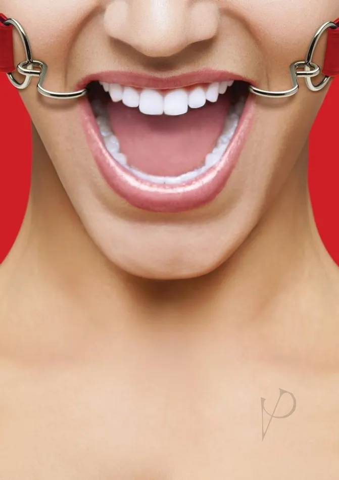 Ouch Hook Gag Red Ouch Vibrators Ouch Hook Gag Red Ouch Vibrators