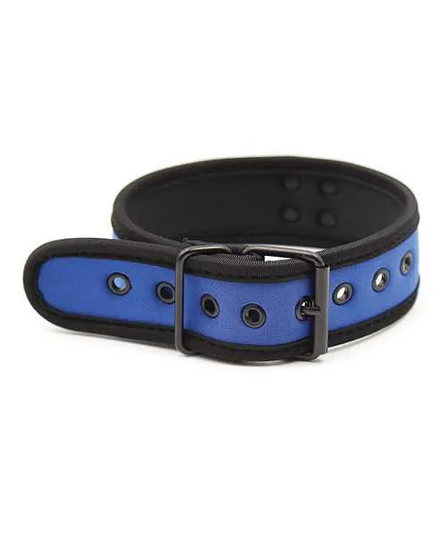 Plesur Neoprene Puppy Collar Blue Plesur Vibrators