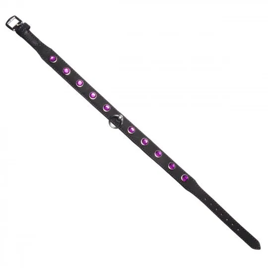 Strict Restraints Leather Rhinestone Collar Amethyst