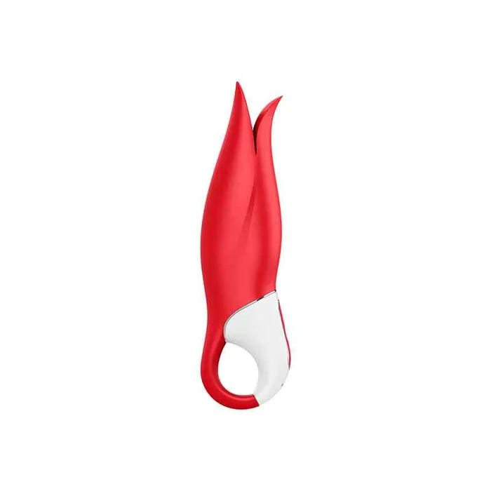 Wild Night Fantasies Satisfyer Power Flower Clitoral Vibrator Vibrators